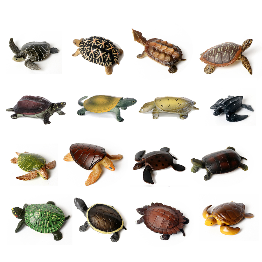 Realistic Miniatures Marine Li - Marine Aquarium & Regional Centre Photos avaliação e preço